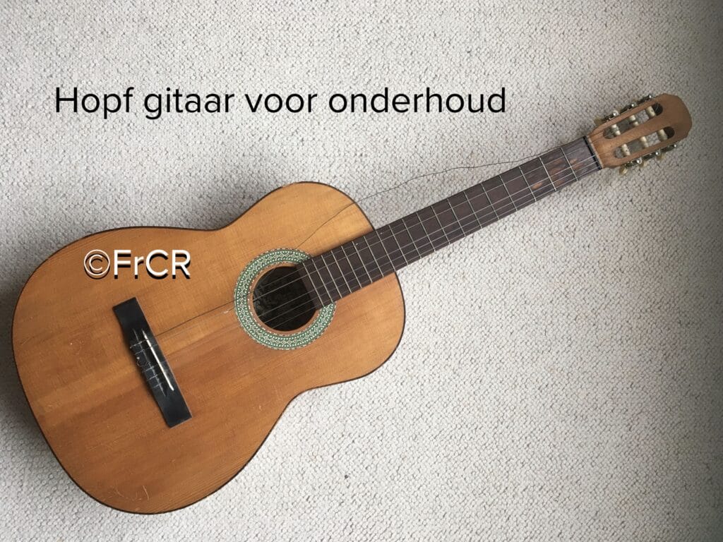 Hopf gitaar voor onderhoudsbeurt